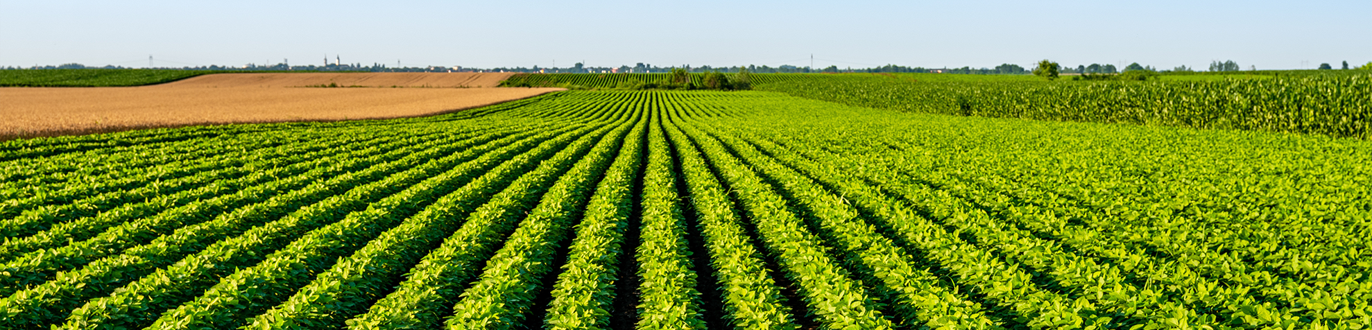 jk crop care